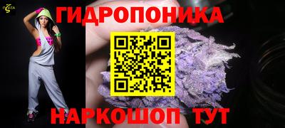 2c-b Заводоуковск