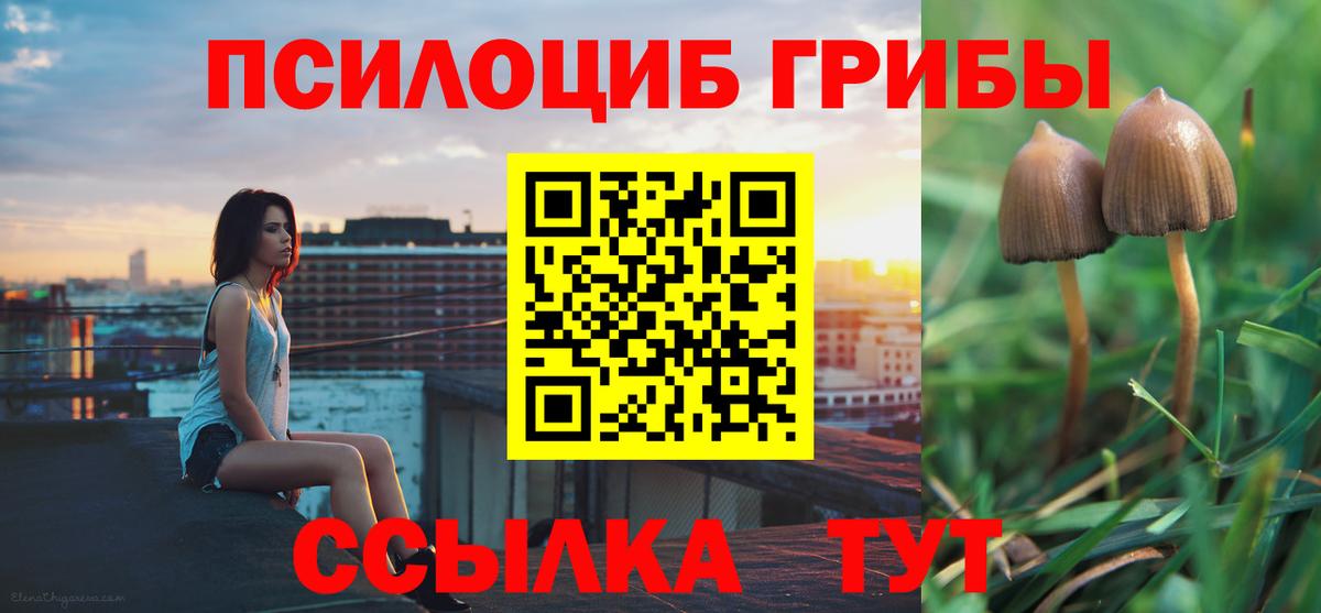 Псилоцибиновые грибы GOLDEN TEACHER Россия