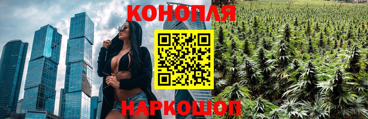Бошки марихуана SATIVA & INDICA  Каннабис SATIVA & INDICA  Вход с VPN  Россия  Канабис конопля  Бошки Шишки OG Kush 